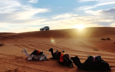 steptodown.com650700