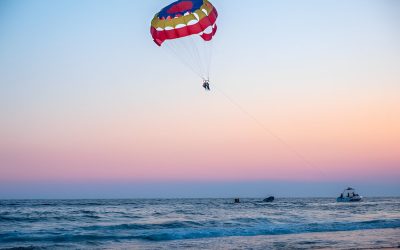 steptodown.com806581